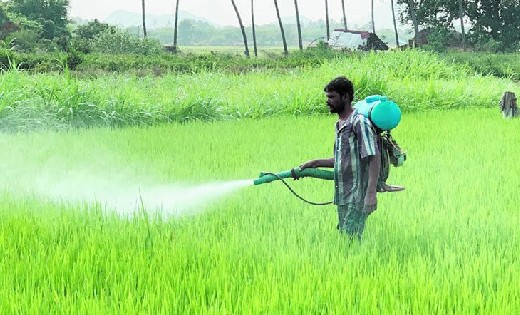 इन कीटनाशक दवाओं का विक्रय एवं भंडारण पर लगाया गया प्रतिबंध - CG Sandesh