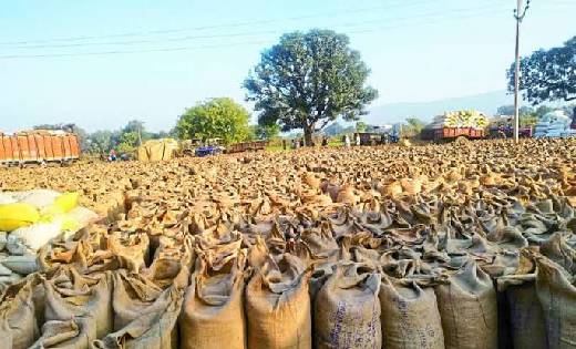 किसानों को बड़ी राहत, बारदाने के नियमों में हुआ चेंज... जानिए... - CG Sandesh
