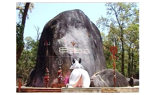 इस बार महाशिवरात्रि पर लगेगा पंचक, शुभ फल पाने के लिए इन बात... - CG Sandesh