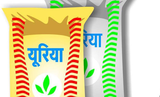 सांकरा : टेमरी जंगल पर किसानों ने पकड़ा ट्रक से भरा यूरिया, व... - CG Sandesh