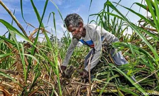 छत्तीसगढ़ के मजदूरों को महाराष्ट्र में बंधक बनाकर मारपीट कर ज... - CG Sandesh