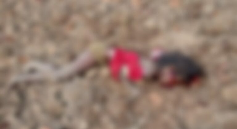 सिमटते वन क्षेत्रफल से मरवाही क्षेत्र के गांव में हाथियों का आतंक..  बच्ची को कुचला, मौत 