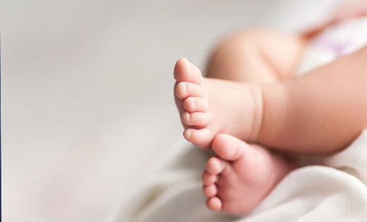 कोमाखान : तालाब में तैरता मिला अज्ञात नवजात शिशु का शव.  - CG Sandesh