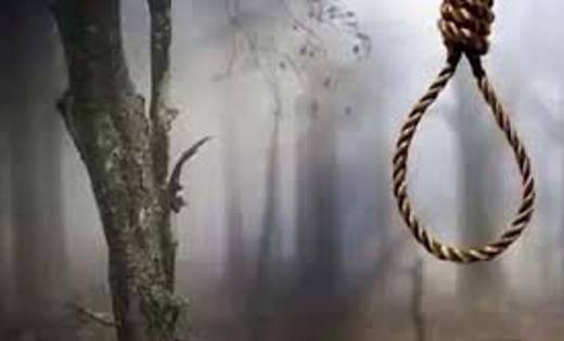 पेड़ पर लटकती मिली युवक की लाश, परिजन लगा रहे हत्या का आरोप - CG Sandesh