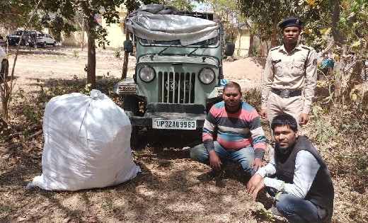 कोमाखान: 24 लाख रुपये की गांजा तस्करी करते 2 अंतर्राज्यीय आर... - CG Sandesh