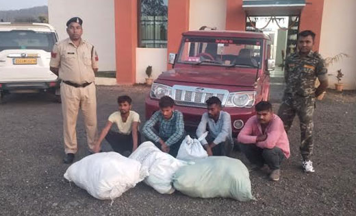 सिंघोडा : बोलेरो कार से 16 लाख का गांजा तस्करी करते 04 आरोपी... - CG Sandesh