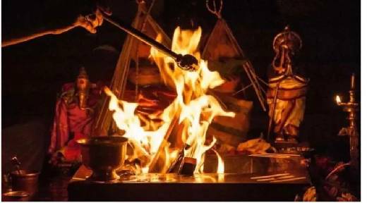 हवन में क्यों किया जाता है आम की लकड़ी का इस्तेमाल, इसका रहस... - CG Sandesh