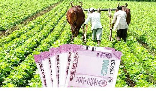 PM Kisan की अगली किस्त पाने के लिए जल्द करा लें eKYC, लास्ट ... - CG Sandesh