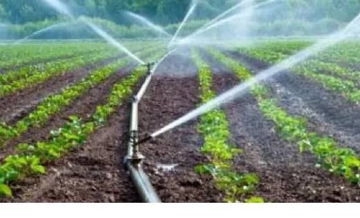 कम पानी में अधिक उत्पादन लेने में काफी मददगार है यह स्कीम, क... - CG Sandesh