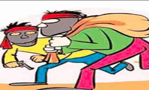 बसना : गोठान में लगा सोलर पंप व केबल वायर चोरी. 