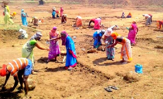 मनरेगा के तहत 40 पंचायतों में काम शुरू, 2083 मजदूर कर रहे का... - CG Sandesh
