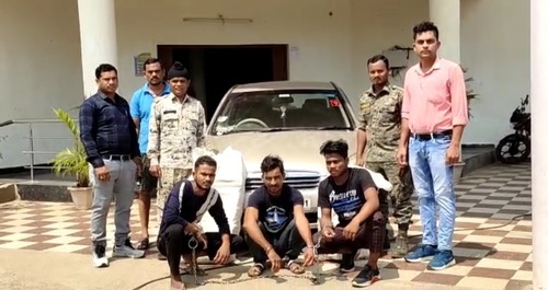 नशे के खिलाफ पुलिस को एक और सफलता, 10 लाख रूपये के गांजा के ... - CG Sandesh