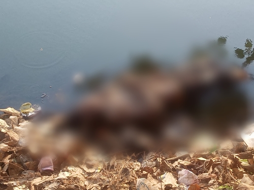 तालाब में मिली समोसा की लाश, हत्या या खुदकुशी की जांच में जु... - CG Sandesh