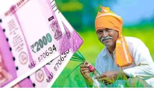 प्रधानमंत्री किसान सम्मान निधि स्कीम की 11वीं किस्त इस तारीख... - CG Sandesh