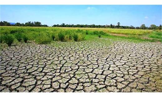बंजर जमीन को उपजाऊ बनने के लिए मृदा स्‍वास्‍थ्‍य कार्ड योजना... - CG Sandesh