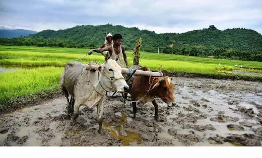तुंरत कर लें यह काम वरना रुक जाएगी पीएम किसान की 11वीं किस्त... - CG Sandesh