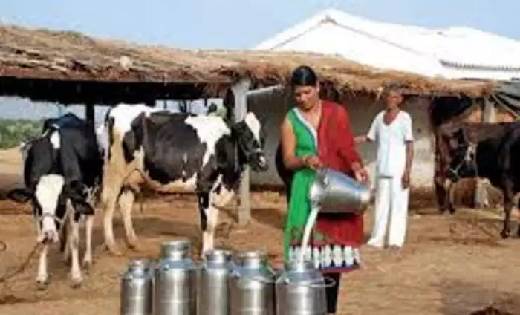  केंद्र सरकार ने डेयरी किसानों के लिए बनाए 14.80 लाख किसान क... - CG Sandesh