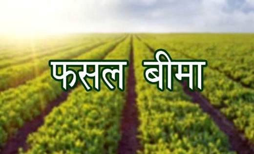 मुख्यमंत्री आज करेंगे फसल बीमा दावा राशि के वितरण का शुभारंभ - CG Sandesh