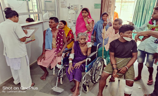 पिथौरा  : लकड़बग्घे  के हमले से 10 घायलों में से 9 घायलों को ... - CG Sandesh