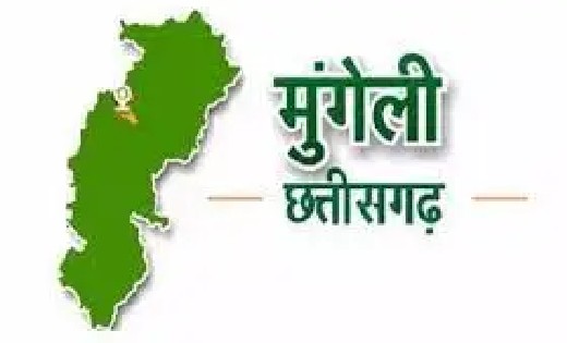शासकीय कार्य के निर्वहन में लापरवाही और उदासीनता बरतने वाले ... - CG Sandesh