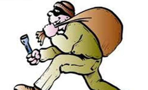 बागबाहरा  : खेत से 3HP का सोलर मोटर पंप व केबल वायर चोरी.