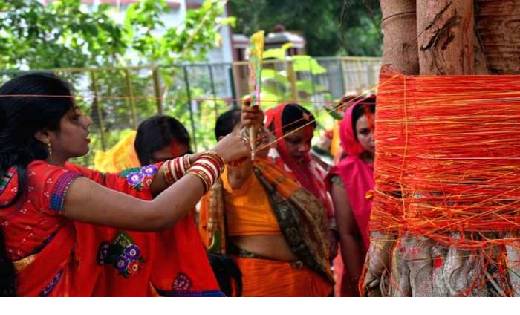 पहली बार वट सावित्री व्रत रखने वाली महिलाएं, इन बातों का रखे... - CG Sandesh