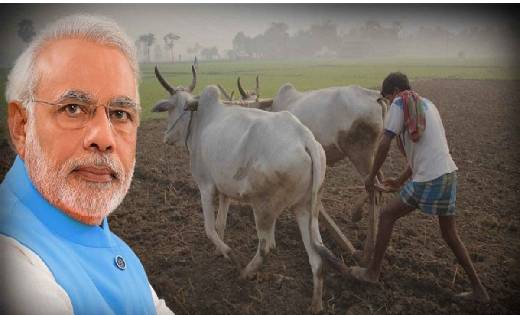 इस तारीख को मिलेगी पीएम किसान सम्मान निधि 11वीं किस्त , जल्द... - CG Sandesh