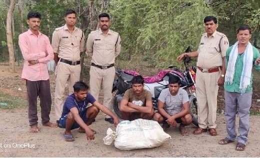 पटेवा : 10 किलो ग्राम मादक पदार्थ गांजा के साथ 03आरोपी गिरफ्... - CG Sandesh