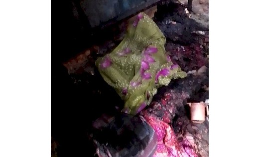 CG : घर में लगी भीषण आग, जिंदा जलने से बुजुर्ग महिला की मौत - CG Sandesh