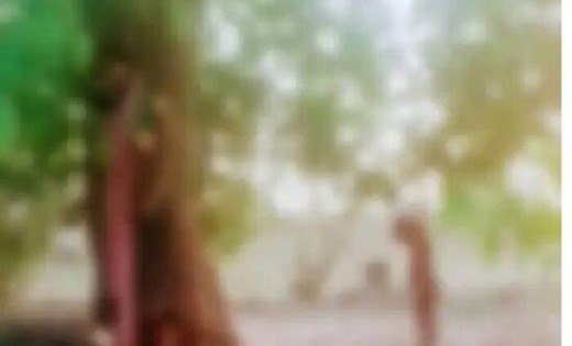 CG : प्रेमी जोड़े ने की आत्महत्या, एक ही फंदे पर लटकती मिली ल... - CG Sandesh