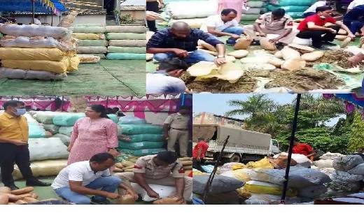  छत्तीसगढ़ के इतिहास में पहली बार 11 टन गांजा नष्ट कर उत्पन्... - CG Sandesh