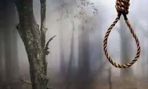 महासमुंद : नाला के पास युवक झुला फांसी के फंदे पर