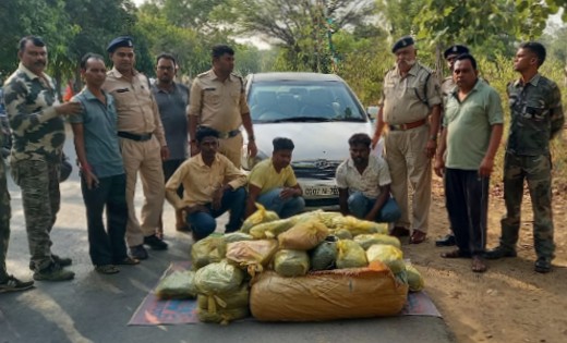 सांकरा : 103 किलोग्राम अवैध मादक पदार्थ गांजा तस्करी करते ओड... - CG Sandesh