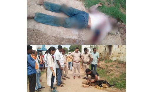 महासमुंद : 60 वर्षीय बुजुर्ग की हत्या का खुलासा, बेटे ने ही ... - CG Sandesh