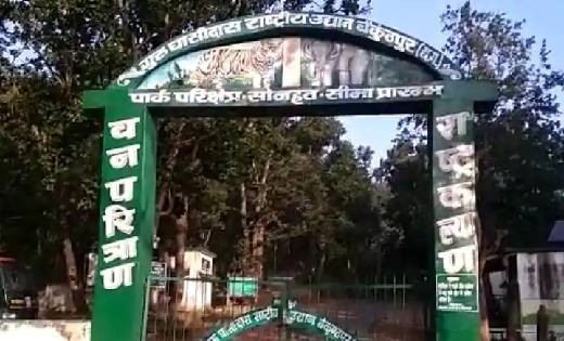 गुरु घासीदास नेशनल पार्क में बाघिन की हुई मौत, मचा हड़कंप - CG Sandesh