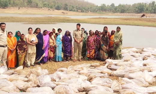 बसना : ग्राम चनाट के जंगल में लगी भट्ठी और 76 बोरी महुआ पास ... - CG Sandesh