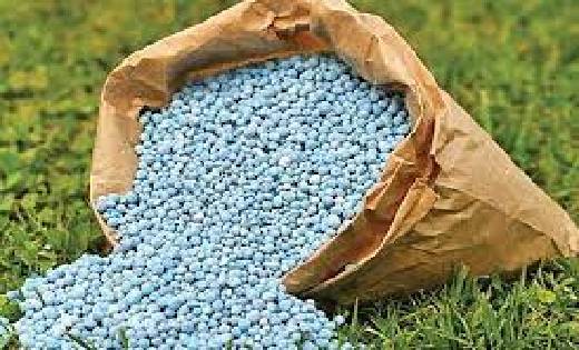 सरायपाली क्षेत्र में किसानों को सही दर पर रासायनिक खाद उपलब्... - CG Sandesh