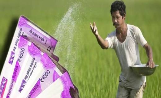 घर बैठे प्रधानमंत्री किसान सम्मान निधि के तहत मिले रुपए निका... - CG Sandesh