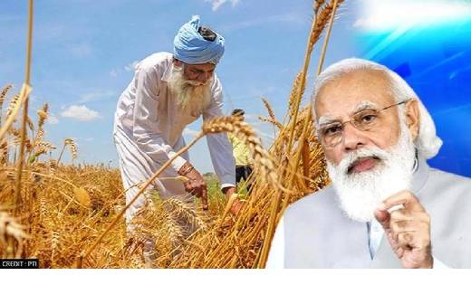मोदी सरकार ने की17 फसलों की MSP में बढ़ाेतरी , अब मिलेगा किस... - CG Sandesh