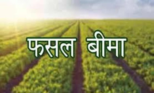 किसान इस तिथि तक करा सकेंगे फसलों का बीमा