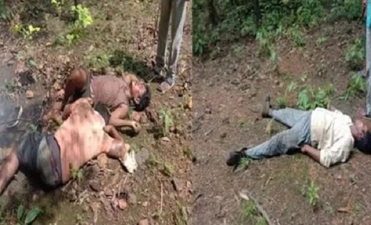 शिकार के लिए फैलाए बिजली के तार की चपेट में आने से 3 की मौत - CG Sandesh