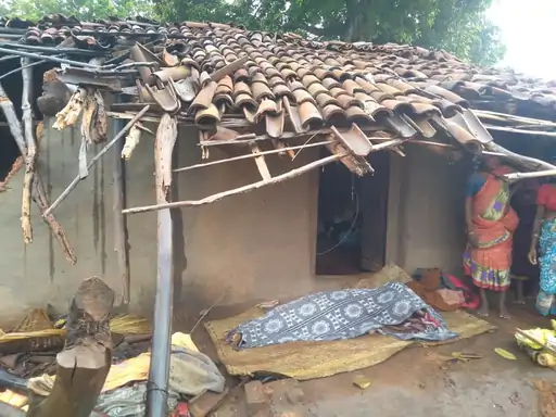 CG : घर के बाहर बरामदे में सो रही थी महिला, हाथियों ने पटक प... - CG Sandesh