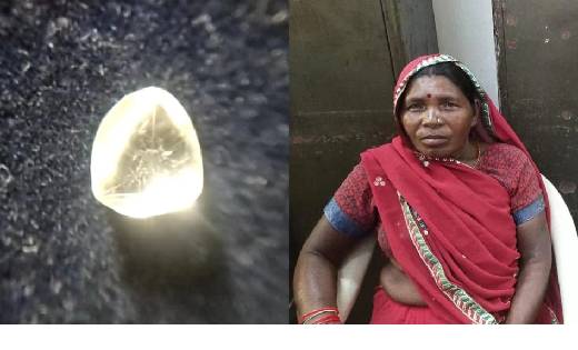 ये महिला जंगल लकड़ी लेने गई और बन गई रातो-रात लखपति, कैसे यहा... - CG Sandesh