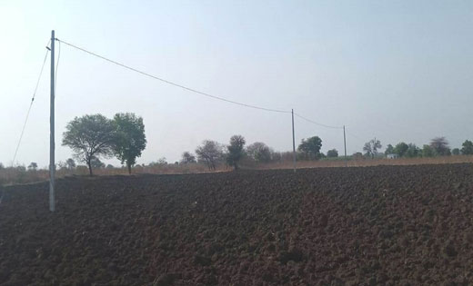 सरायपाली : खेत में लगे विद्युत पोल के संपर्क में आने से हुई ... - CG Sandesh