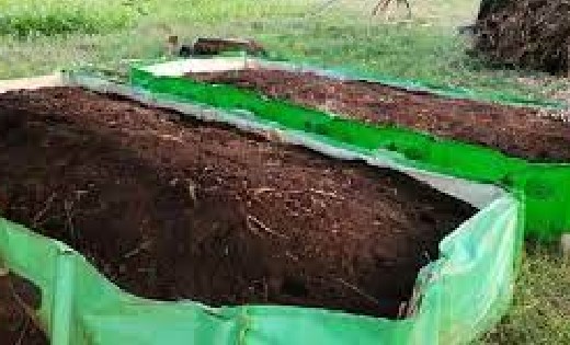 बागबाहरा : ग्रामीण अंचल के टॉप-10 कम्पोस्ट उत्पादक स्व-सहायत... - CG Sandesh