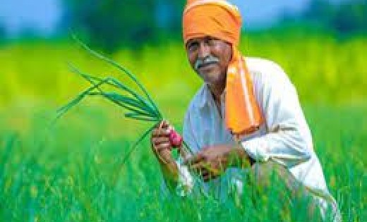 किसान भाईयों के लिए कृषि सलाह - CG Sandesh