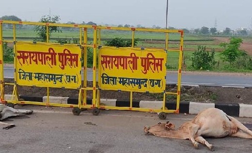 सरायपाली : खून से‌ सड़क हुआ लहूलुहान, तेज रफ़्तार ट्रक के चपे... - CG Sandesh