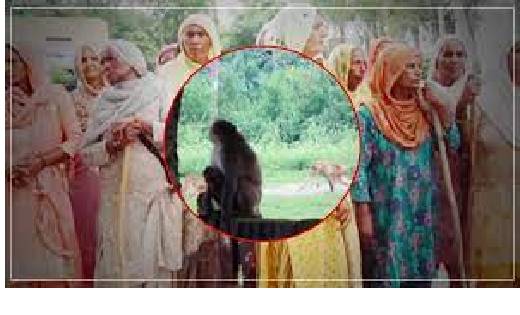  ऐसा स्कूल जहां डंडा लेकर बच्चों को छोड़ने जाते हैं पैरेंट्स... - CG Sandesh