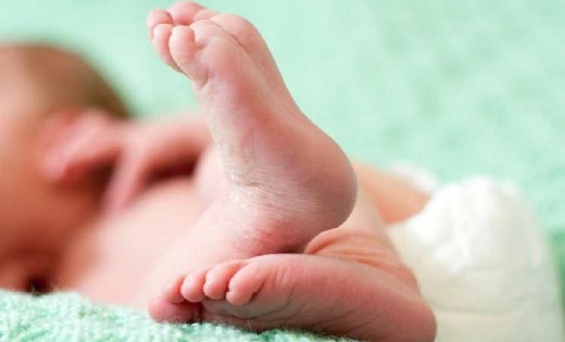 क्षत-विक्षत पड़ा मिला नवजात बच्ची का शव, जानवर खा गये थे शरीर... - CG Sandesh