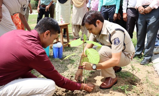 छत्तीसगढ़ सरकार की महत्वाकांक्षी योजना कृष्ण कुँज से प्रेरित होकर महासमुंद जिले के सभी थाना व चौकी परिसर में हुआ वृक्षारोपण